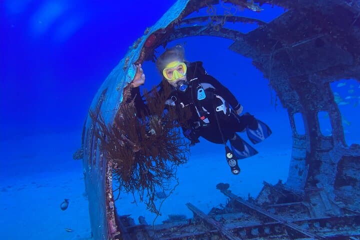 Oahu 2-Tank Wreck and Reef Dive from Waikiki