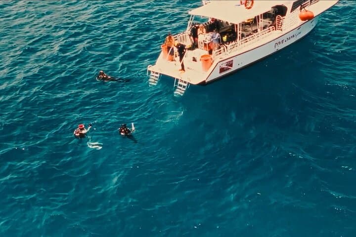Discover Scuba Diving in Waikiki: Guided Reef Dives in Honolulu photo 6