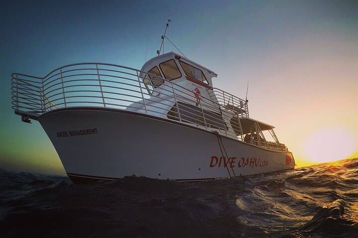 Oahu Night Dive — Certified 2-Tank Twilight & Night Scuba Charter photo 6