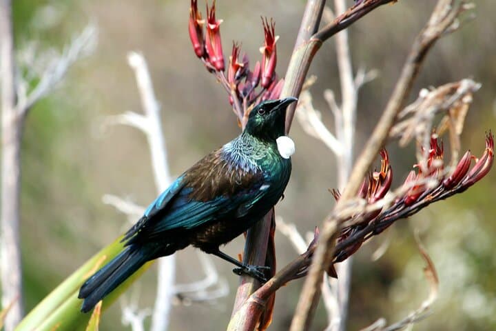 Abel Tasman Vista Cruise: Scenic Boat Tour & Beach Stops photo 6