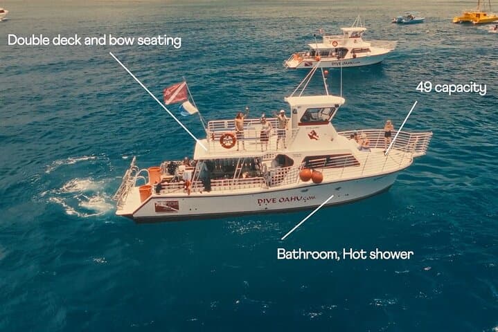 Oahu Night Dive — Certified 2-Tank Twilight & Night Scuba Charter