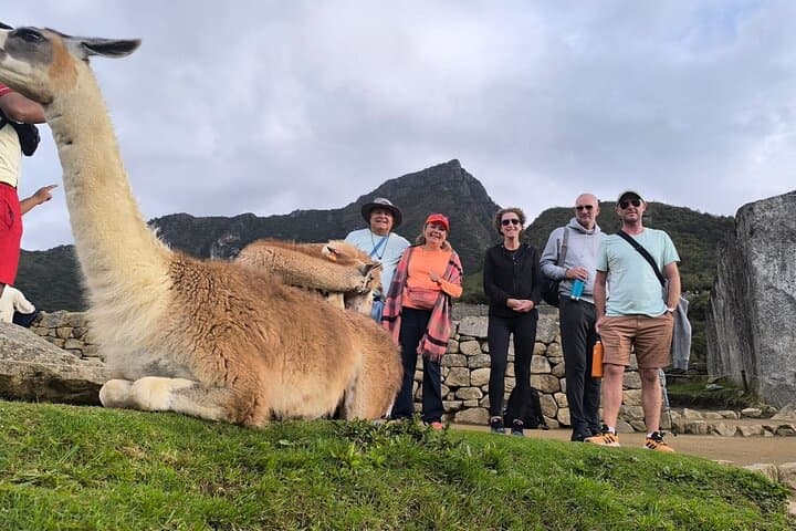 One-Day Machu Picchu from Cusco: Complete Guide to the Inca Citadel photo 2