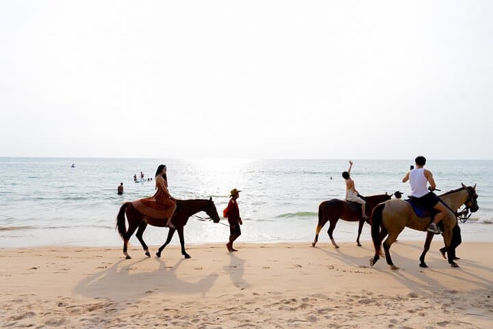 Phuket Beach Horse Ride — 1-Hour Coastal Equestrian Experience