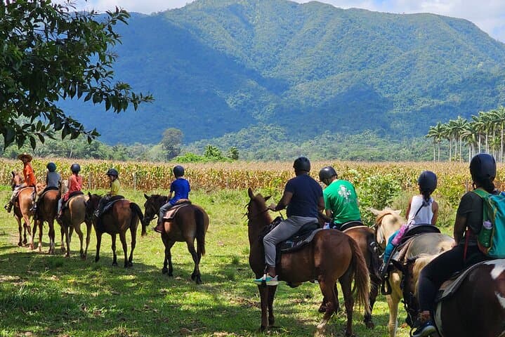 Jungle Horseback & Cave Tube Adventure Near Belize City — Ride, Float & Explore photo 4