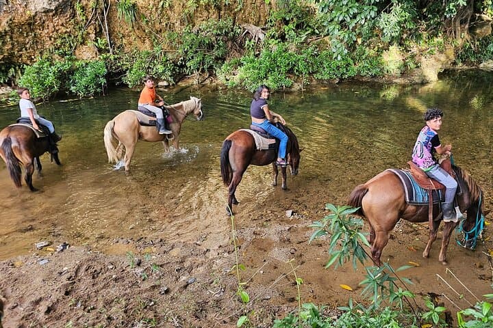 Jungle Horseback & Cave Tube Adventure Near Belize City — Ride, Float & Explore photo 5