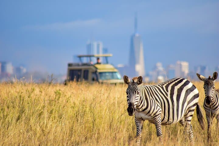 Experience Nairobi National Park Safari: Wildlife Meets Urban Skyline photo 4