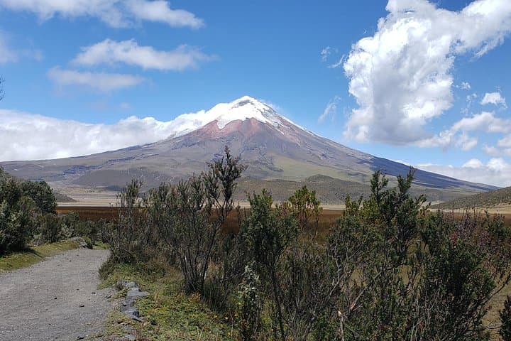 Cotopaxi Volcano Full-Day Tour from Quito — Hike to José Rivas Refuge & Glacier photo 1