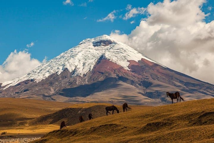 Cotopaxi Volcano Full-Day Tour from Quito — Hike to José Rivas Refuge & Glacier photo 3