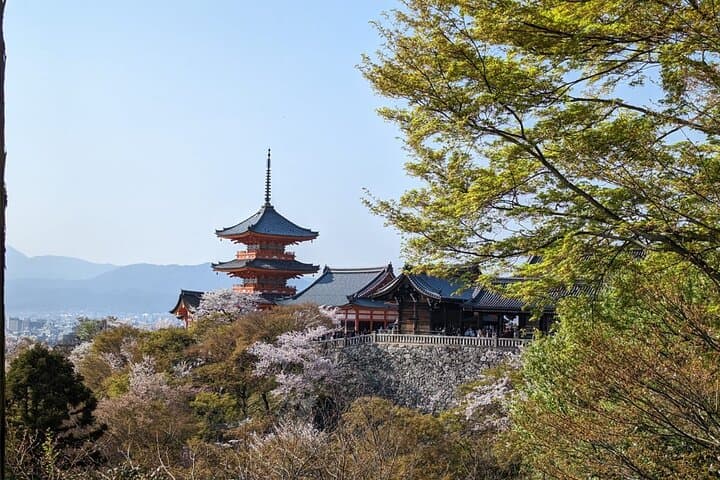 Private 8-Hour Kyoto Tour: Nijō Castle, Kinkakuji, Ginkakuji & Gion