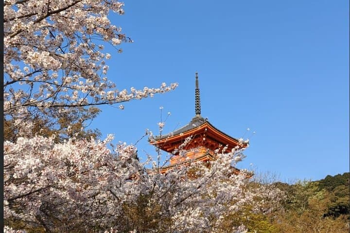 Private 8-Hour Kyoto Tour: Nijō Castle, Kinkakuji, Ginkakuji & Gion photo 4
