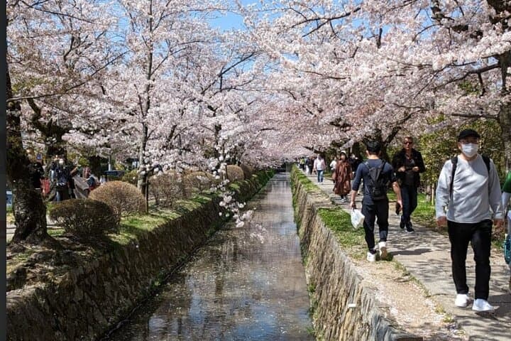 Private 8-Hour Kyoto Tour: Nijō Castle, Kinkakuji, Ginkakuji & Gion photo 6