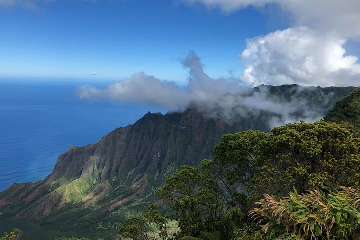 Private Waimea Canyon & Kalalau Lookout Tour: Kauai’s Wild West in One Day