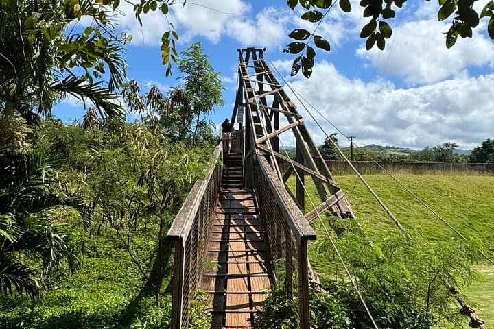 Private Waimea Canyon & Kalalau Lookout Tour: Kauai’s Wild West in One Day photo 2