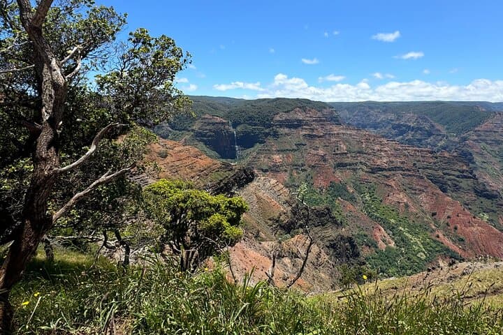 Private Waimea Canyon & Kalalau Lookout Tour: Kauai’s Wild West in One Day photo 3