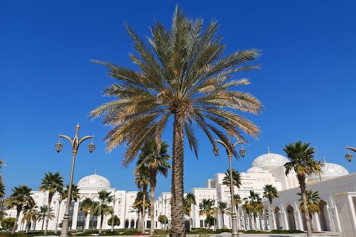 Private Full-Day Abu Dhabi Sightseeing Tour from Dubai or Sharjah photo 6