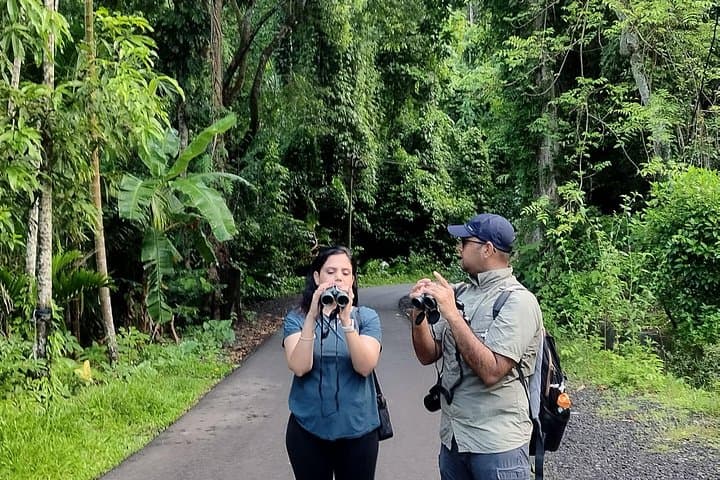 Sunrise at Kalapathar: Birdwatching and Village Tour on Havelock Island photo 3