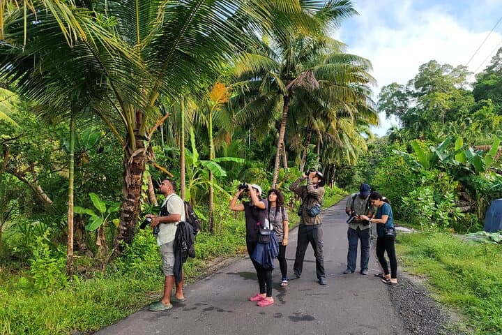 Sunrise at Kalapathar: Birdwatching and Village Tour on Havelock Island