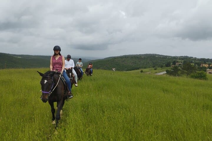 Horseback Riding and Chianti Wine Tasting: Day Tour from Florence photo 5