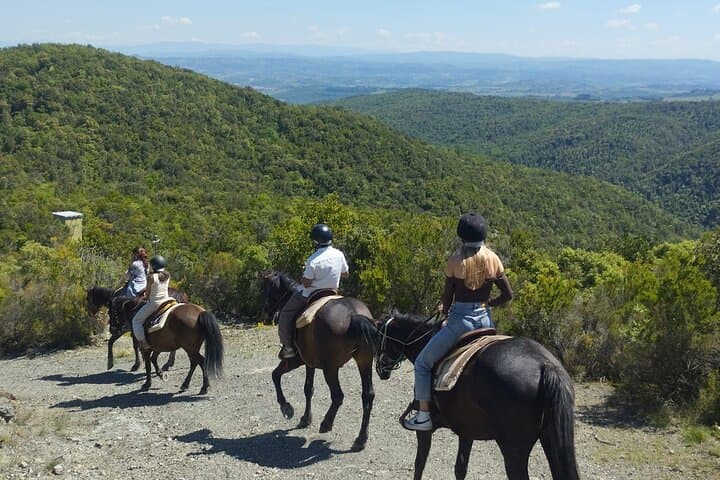 Horseback Riding and Chianti Wine Tasting: Day Tour from Florence photo 6