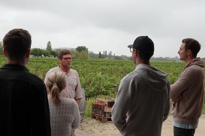 Saint-Émilion Half-Day E‑Bike & Wine Tour with Vineyard Picnic photo 4