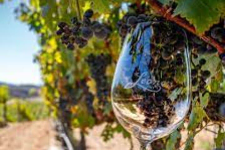 Temecula Wine Country Day Tour from Los Angeles — Small-Group Wine Tasting photo 2