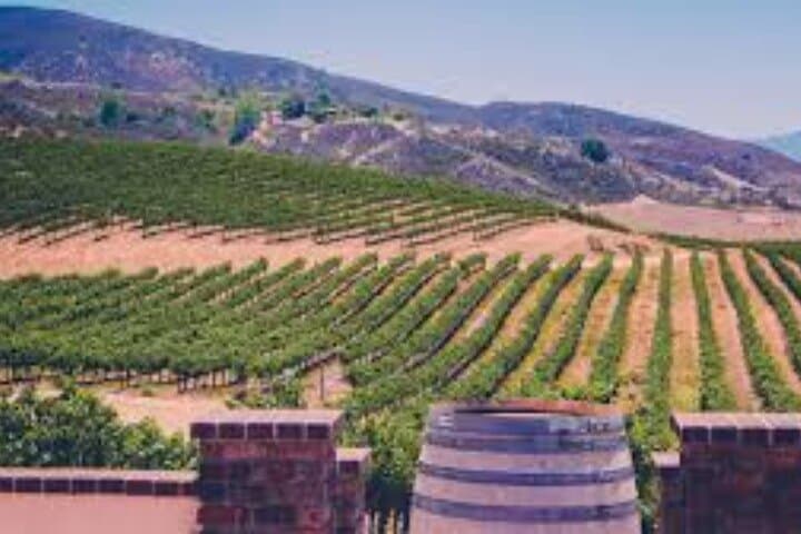 Temecula Wine Country Day Tour from Los Angeles — Small-Group Wine Tasting photo 4