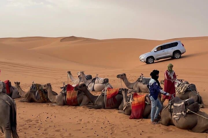 Camel Ride and Overnight in Mhamid Desert — Sunset Dunes & Stargazing photo 3