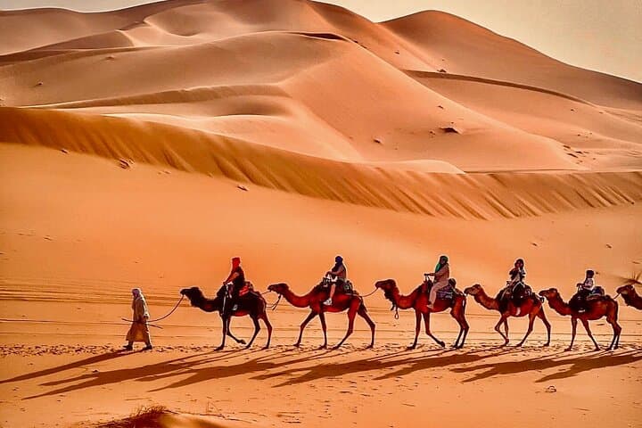 Camel Ride and Overnight in Mhamid Desert — Sunset Dunes & Stargazing photo 6