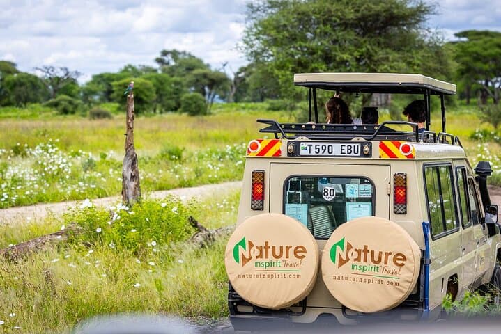 9-Day Tanzania Big Five Safari and Zanzibar Beach Holiday photo 2
