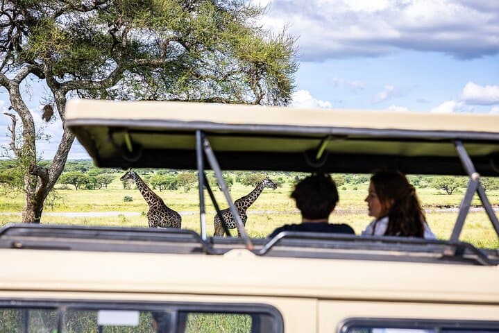 9-Day Tanzania Big Five Safari and Zanzibar Beach Holiday photo 4