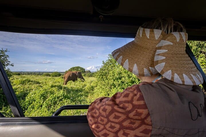 9-Day Tanzania Big Five Safari and Zanzibar Beach Holiday photo 1