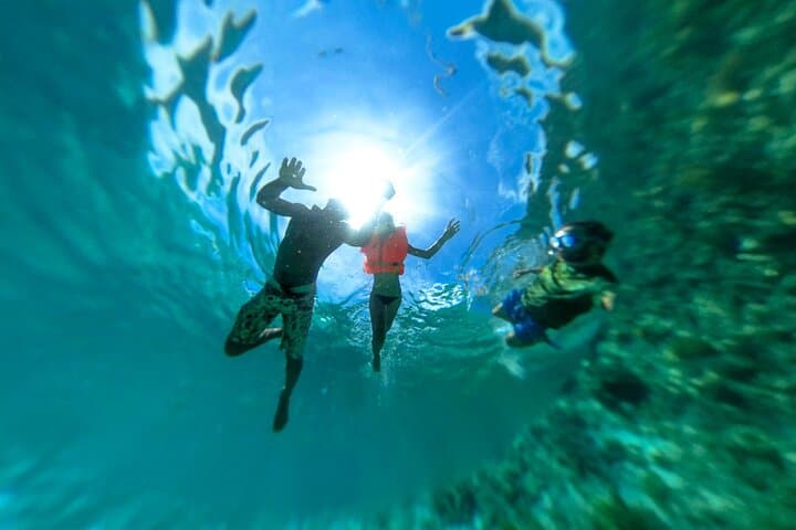 Mnemba Island Snorkeling Adventure — Clear Reefs & Marine Life off Zanzibar photo 2