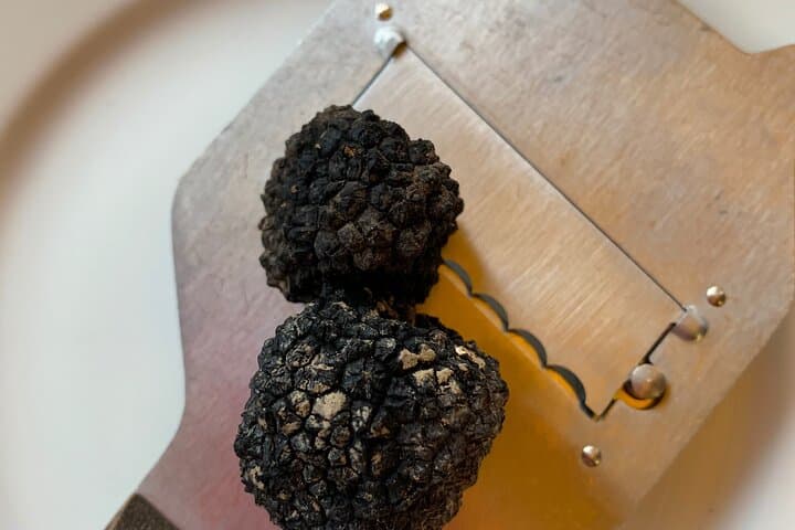 Private Truffle Hunting in Cagli, Le Marche — Guided Truffle Hunt & Breakfast photo 2