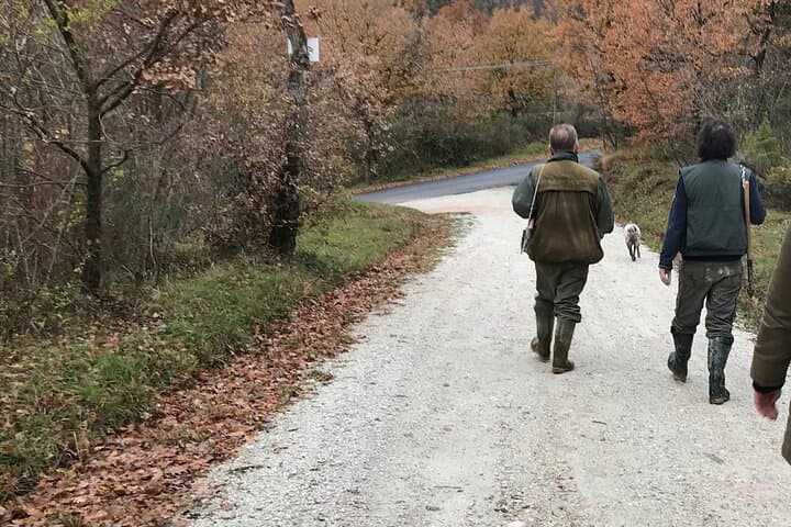 Private Truffle Hunting in Cagli, Le Marche — Guided Truffle Hunt & Breakfast photo 4