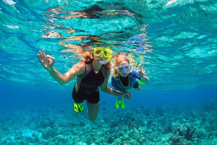 Snorkel Gili Trawangan: Turtles, Blue Coral Garden & Underwater Statues photo 6