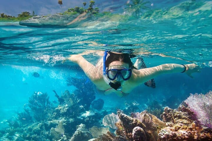Snorkel Gili Trawangan: Turtles, Blue Coral Garden & Underwater Statues photo 5