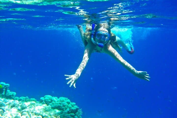 Private Abu Dabbab Snorkeling with Turtles & Dugong — Marsa Alam Day Trip photo 5