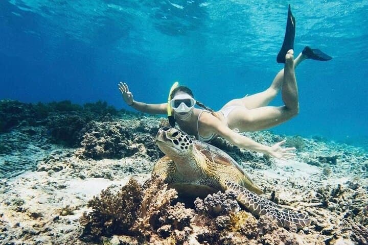 Snorkel Gili Trawangan: Turtles, Blue Coral Garden & Underwater Statues