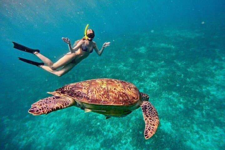Snorkel Gili Trawangan: Turtles, Blue Coral Garden & Underwater Statues photo 2