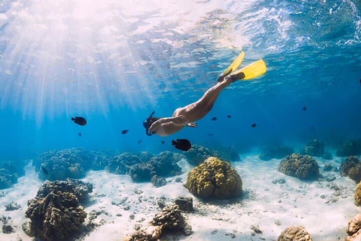 Snorkel Gili Trawangan: Turtles, Blue Coral Garden & Underwater Statues photo 4