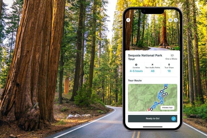 Sequoia National Park Self-Guided Audio Tour: Drive and Hike the Giant Forest