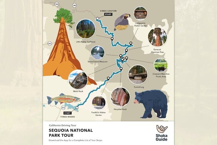 Sequoia National Park Self-Guided Audio Tour: Drive and Hike the Giant Forest photo 4