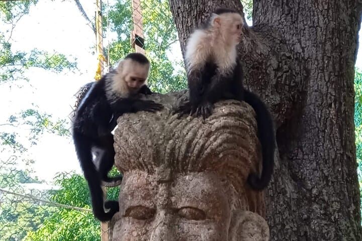 Roatán Monkey & Sloth Eco Park with West Bay Beach — Half-Day Family Tour photo 5
