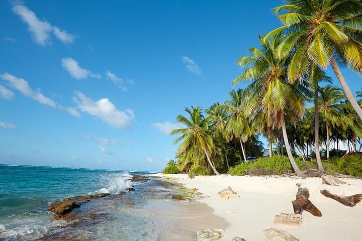 Johnny Cay Boat Tour: Day Trip from San Andrés to a Caribbean Key photo 4