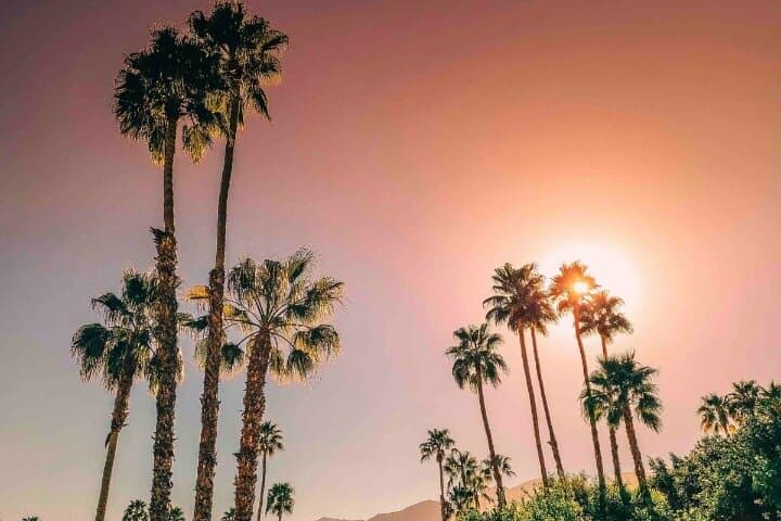 Private Palm Springs Day Trip from Los Angeles — Indian Canyons & San Jacinto Views photo 2