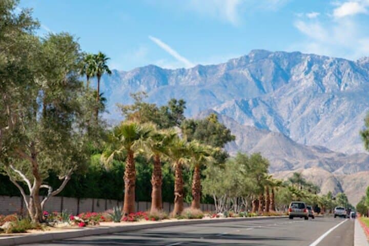 Private Palm Springs Day Trip from Los Angeles — Indian Canyons & San Jacinto Views photo 4