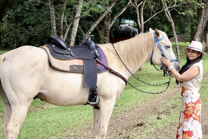 Jungle Horseback & Cave Tube Adventure Near Belize City — Ride, Float & Explore photo 2