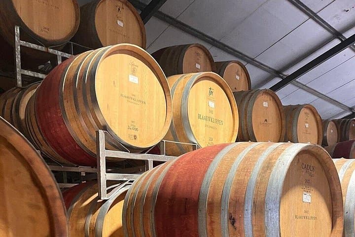 Cape Winelands Day Tour: Franschhoek, Stellenbosch & Paarl Wine Tasting from Cape Town photo 3