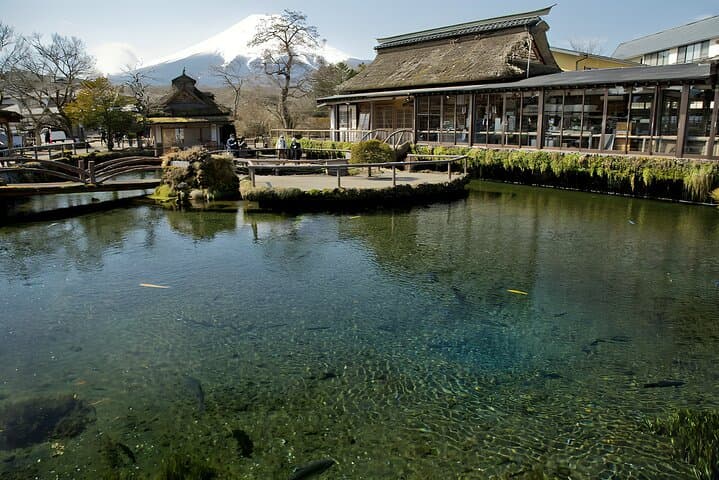 Mount Fuji & Hakone Day Trip from Tokyo — Ropeway, Owakudani, Gotemba Outlets photo 5
