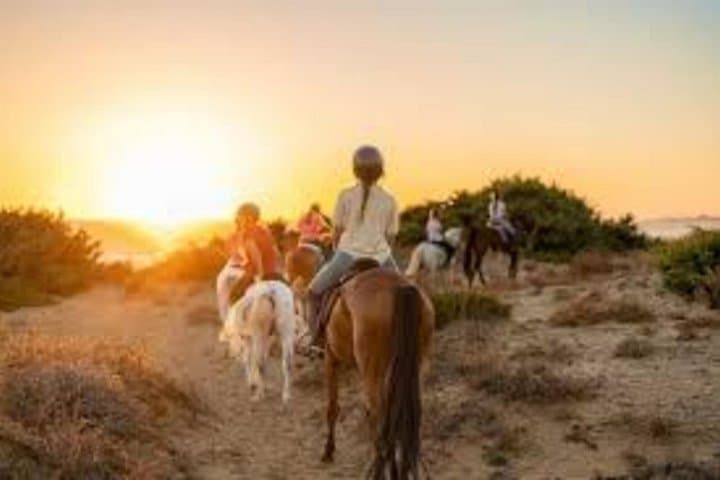 Sunset Horseback Ride on Taghazout Beach: Coastal Gallop at Golden Hour photo 2